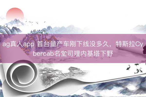 ag真人app 首台量产车刚下线没多久，特斯拉Cybercab名堂司理内基塔下野