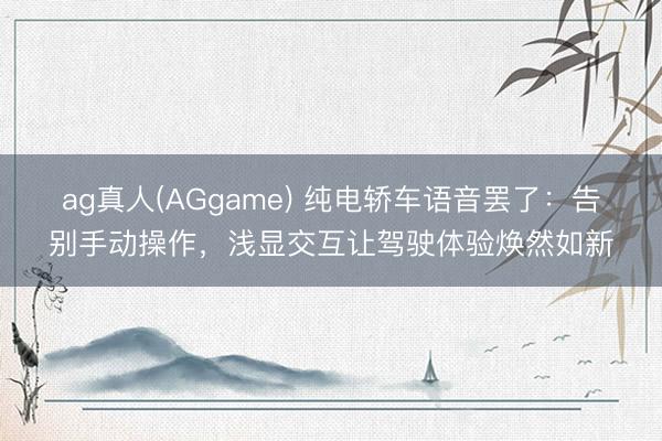 ag真人(AGgame) 纯电轿车语音罢了：告别手动操作，浅显交互让驾驶体验焕然如新
