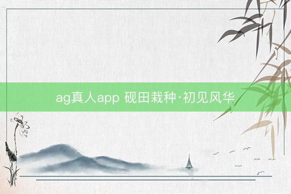 ag真人app 砚田栽种·初见风华
