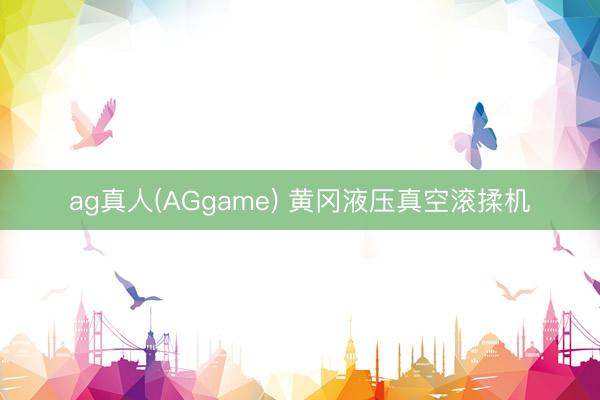 ag真人(AGgame) 黄冈液压真空滚揉机